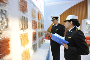 放心的國際物流公司